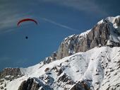 Monte Scanapà, balcone panoramico verso la Regina delle Orobie (19 febbraio 2011) - FOTOGALLERY